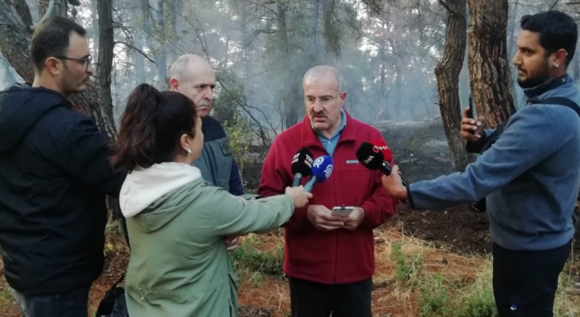 Umurbey’deki yangında 4 hektarlık alan kül oldu!