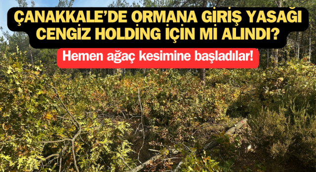 Çanakkale’de ‘ormana giriş yasağı’ Cengiz Holding için mi alındı?