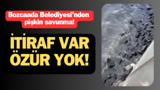 Bozcaada Belediyesi’nden pişkin savunma: İtiraf var, özür yok!