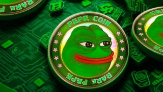 PEPE COİN NE KADAR OLDU? Bir gecede yüzde 80 yükseldi: 14 Kasım Pepe Coin kaç dolar?