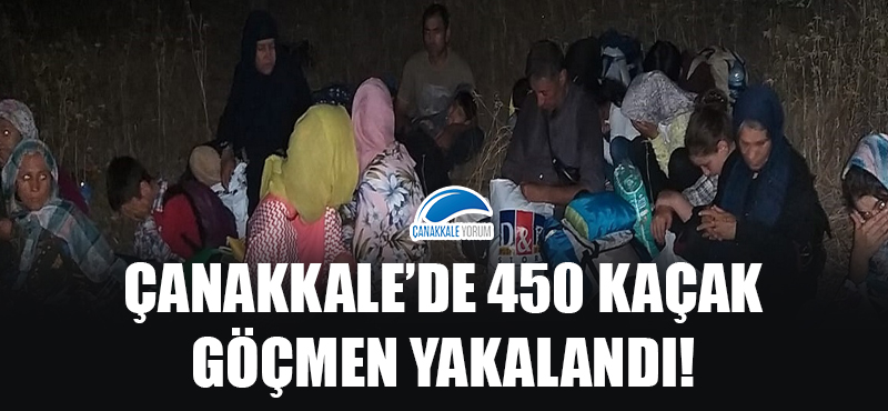 Çanakkale'de 450 kaçak göçmen yakalandı!