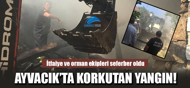 Ayvacık'ta korkutan yangın!