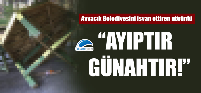 Ayvacık Belediyesini isyan ettiren görüntü: "Ayıptır, günahtır!"