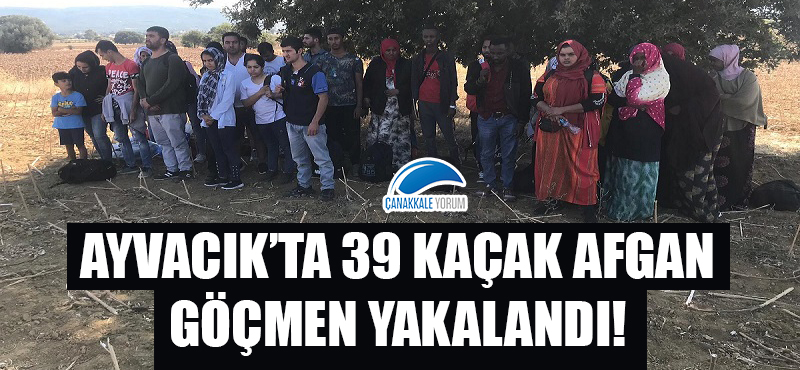 Ayvacık'ta 39 kaçak Afgan göçmen yakalandı!