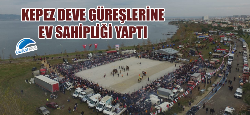 Kepez deve güreşlerine ev sahipliği yaptı