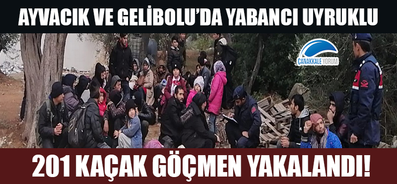 Ayvacık ve Gelibolu'da yabancı uyruklu 201 kaçak göçmen yakalandı!