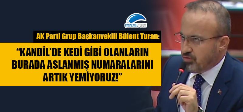 Bülent Turan: "Kandil'de kedi gibi olanların burada aslanmış numaralarını artık yemiyoruz!"