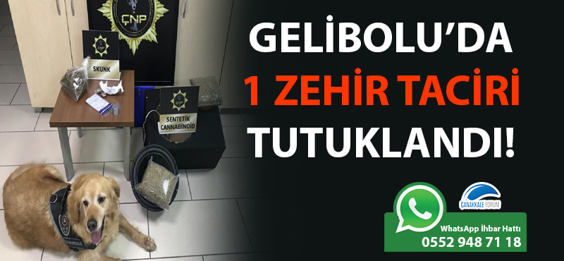 Gelibolu'da 1 zehir taciri tutuklandı!