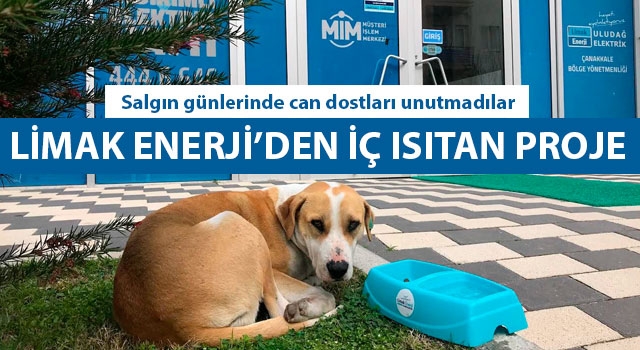 Limak Enerji'den iç ısıtan proje: Salgın günlerinde can dostları unutmadılar