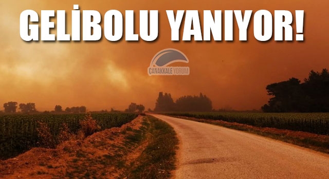 Gelibolu yanıyor!