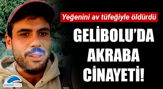 Gelibolu'da akraba cinayeti: Yeğenini av tüfeğiyle öldürdü!