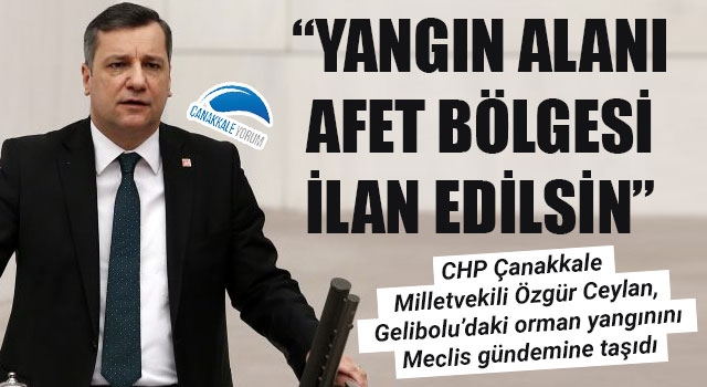 Özgür Ceylan: “Yangın alanı afet bölgesi ilan edilsin”