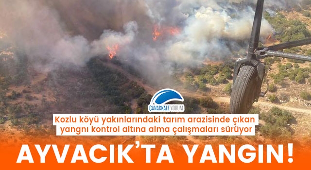 Ayvacık'ta tarım arazisinde yangın!