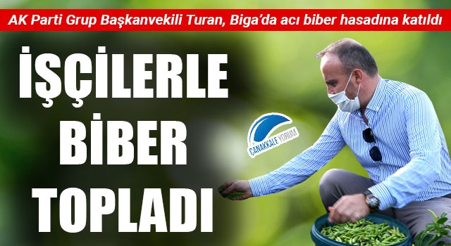 Turan, işçilerle biber topladı