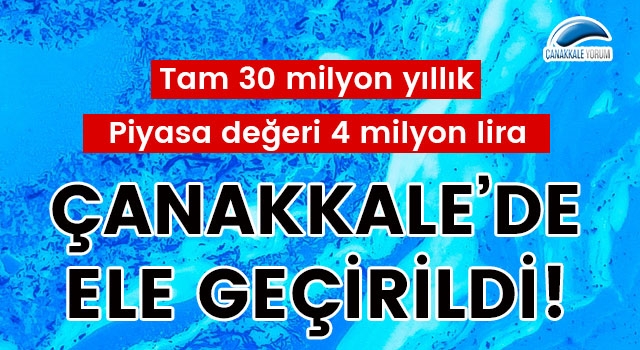 Çanakkale'de ele geçirildi: Tam 30 milyon yıllık... Piyasa değeri 4 milyon lira!