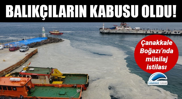 Çanakkale Boğazı’ndaki müsilaj balıkçıların kabusu oldu   