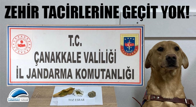 Çanakkale’de zehir tacirlerine geçit yok!