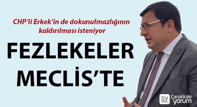 Dokunulmazlık fezlekeleri Meclis'te: CHP'li Erkek'in de dokunulmazlığının kaldırılması isteniyor