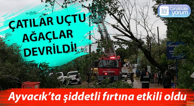 Ayvacık’ta şiddetli fırtına etkili oldu: Çatılar uçtu, ağaçlar devrildi!