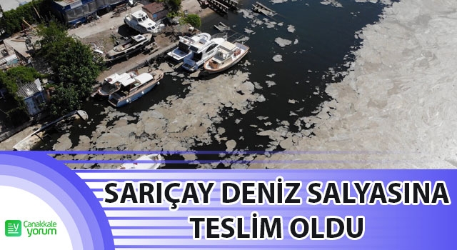 Sarıçay deniz salyasına teslim oldu