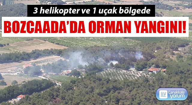 Bozcaada’da orman yangını!