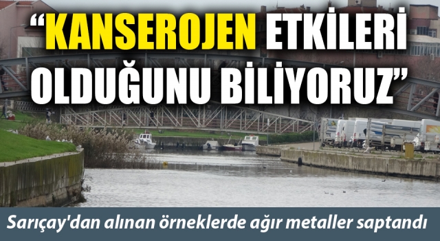 Sarıçay'dan alınan örneklerde ağır metaller saptandı: “Kanserojen etkilerinin olduğunu biliyoruz”