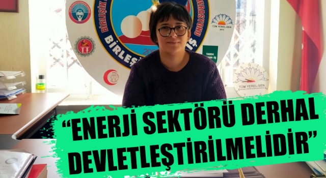 “Enerji sektörü derhal devletleştirilmelidir!”