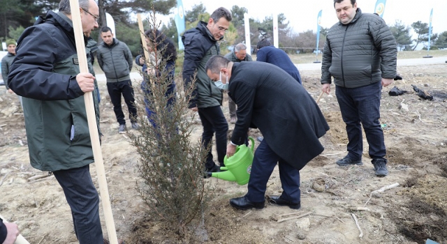 Şehitler anısına fidan diktiler