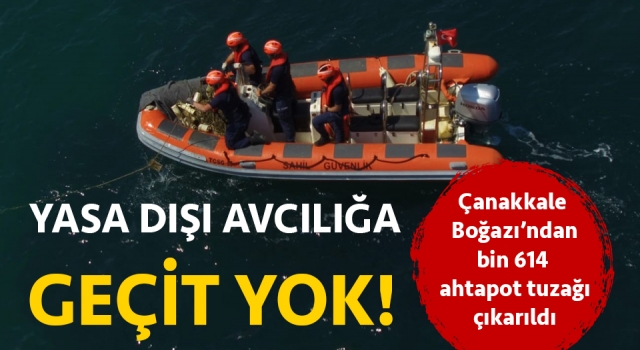 Çanakkale Boğazı’ndan bin 614 ahtapot tuzağı çıkarıldı