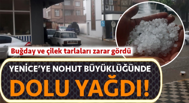 Yenice’ye nohut büyüklüğünde dolu yağdı!