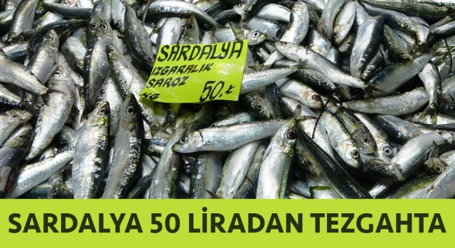 Çanakkale’de sardalya 50 liradan tezgahta