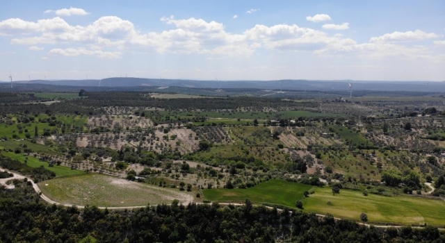 Çanakkale’de ormanlık alanlara girmek yasaklandı