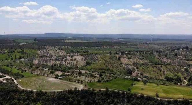 Meteoroloji orman yangınlarına karşı uyardı