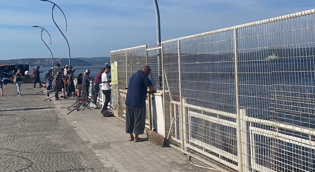 Çanakkale'de olta balıkçıları balık azlığından dertli