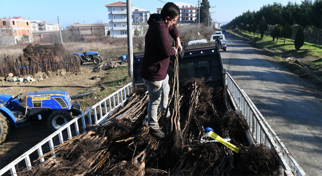 Çanakkale’de 2023 yılının ilk fidan ihracatı Bulgaristan'a yapıldı