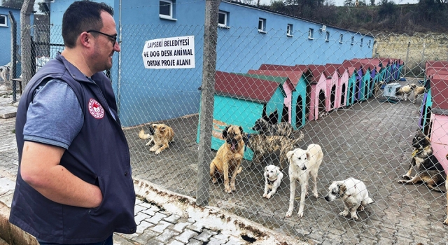 Lapseki’de hayvan barınağındaki sokak hayvanlarına kuduz aşısı yapıldı