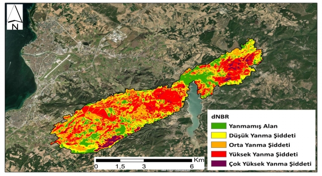 ÇOMÜ, Çanakkale yangınlarının bilançosunu açıkladı