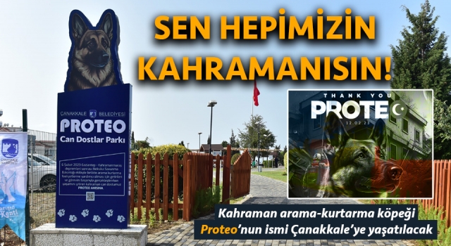 Kahraman köpek Proteo’nun ismi Çanakkale’de ölümsüzleşti