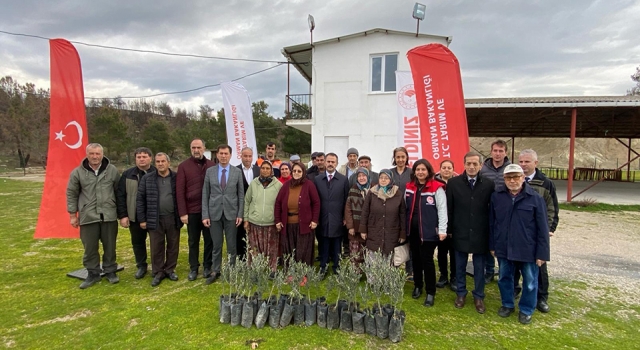 Çanakkale’de yangın mağduru üreticilere zeytin fidanı dağıtıldı