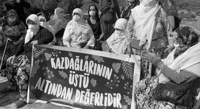 Cengiz Holding'in hedefinde yine Çanakkale var: Kazdağları’nda ağaç kıyımı yapılacak!