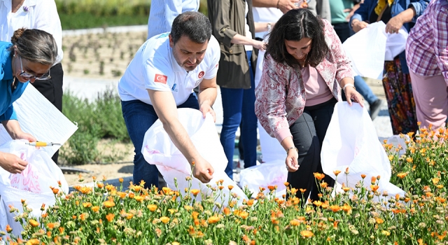 Çanakkale Tarihi Alan’da şifa çiçekleri açıyor