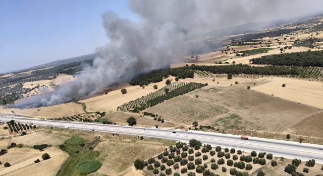 Çanakkale-Gökçalı köyünde yangın!