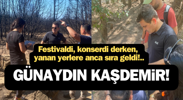 Günaydın Kaşdemir: Festivaldi, konserdi derken, yanan yerlere anca sıra geldi!..