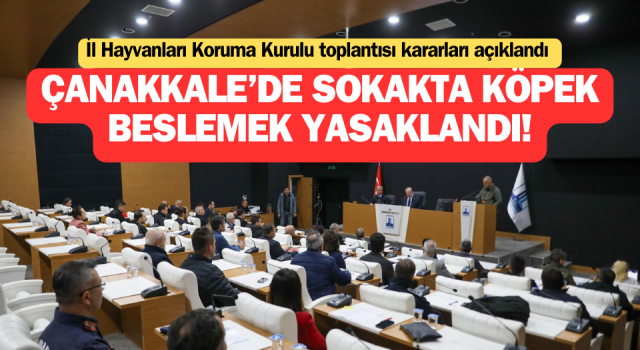 Çanakkale’de sokakta köpek beslemek yasaklandı!