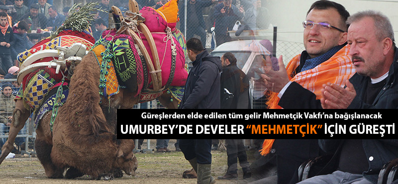 Umurbey'de develer "Mehmetçik" için güreşti