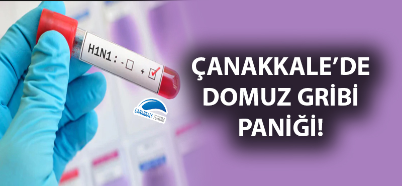 Çanakkale'de domuz gribi paniği!