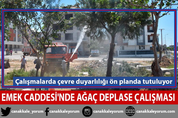 Emek Caddesi'nde ağaç deplase çalışması yapıldı