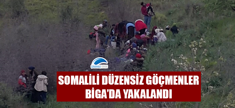 Somalili düzensiz göçmenler Biga'da yakalandı