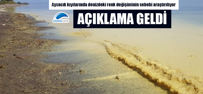 Ayvacık kıyılarında denizdeki renk değişiminin sebebi araştırılıyor