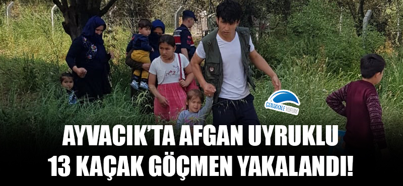 Ayvacık'ta Afgan uyruklu 13 kaçak göçmen yakalandı!